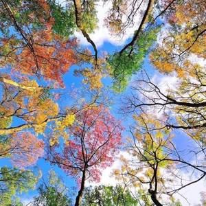 Meet your Posher, Yoland